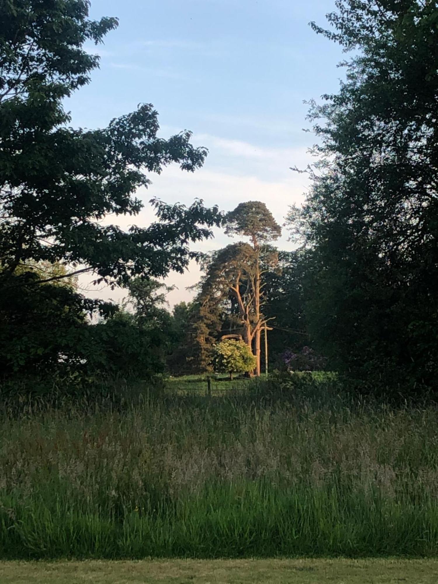 O'Harabrook Country House Ballymoney Εξωτερικό φωτογραφία