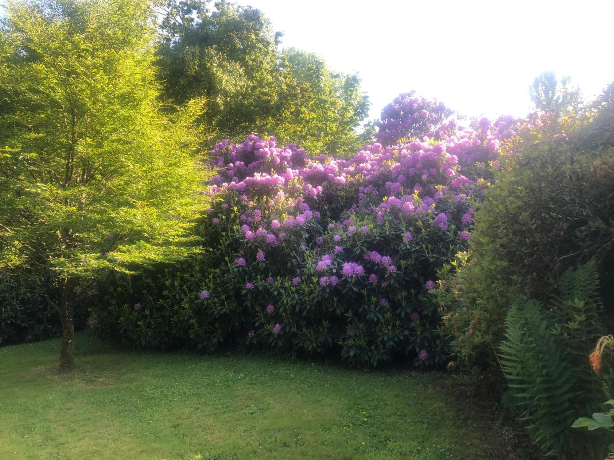 O'Harabrook Country House Ballymoney Εξωτερικό φωτογραφία